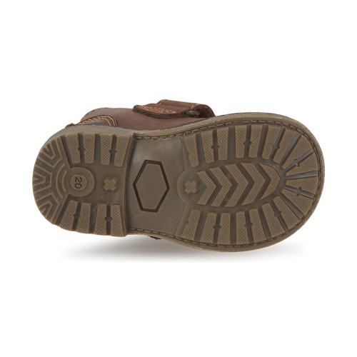Citrouille et Compagnie MELDUNE Castanho