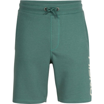 Textil Homem Shorts / Bermudas O'neill Essentials Verde