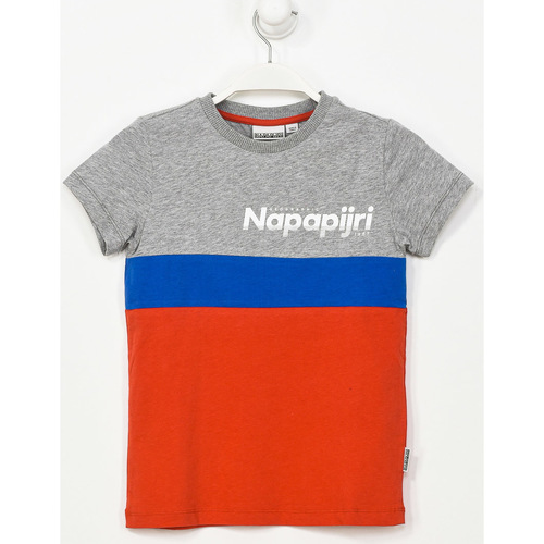 Textil Rapaz T-Shirt polo mangas curtas Napapijri GA4EQE-AA5 Multicolor