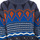 Textil Homem camisolas Napapijri GA4FO2-F7R Multicolor