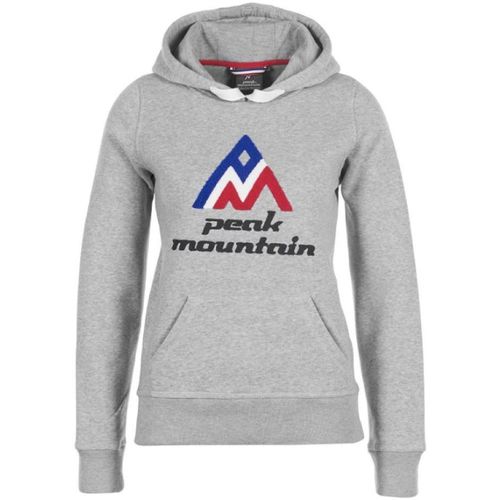 Textil Mulher Sweats Peak Mountain Sweat à capuche femme ADRIVER Cinza