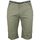 Textil Homem Shorts / Bermudas Srk Bermuda homme CLASSI Verde