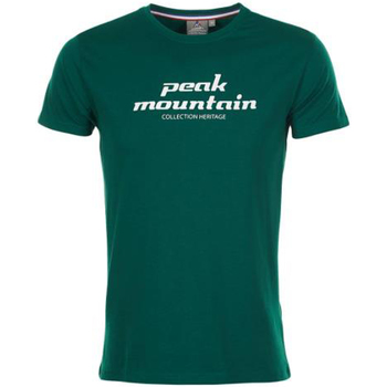 Textil Homem T-Shirt mangas curtas Peak Mountain T-shirt manches courtes homme COSMO Verde