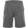 Textil Homem Shorts / Bermudas Peak Mountain Short de randonnée homme CUAD Cinza