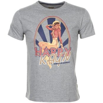 Textil Rapaz As minhas encomendas Harry Kayn T-shirt manches courtes garçon ECELINUP Cinza