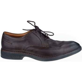 Sapatos Homem Sapatos & Richelieu Clarks Daily Walk Castanho