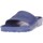 Sapatos Mulher Chinelos BIRKENSTOCK  Azul