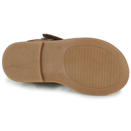 GBB DAVINE Castanho