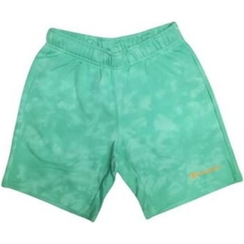 Textil Homem Shorts / Bermudas Champion  Verde