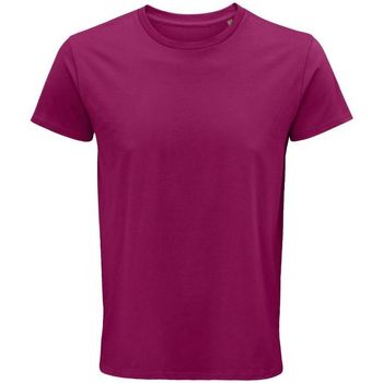 Textil Homem T-shirts e Pólos Sols CRUSADER MEN  camisetsa de hombre 100% algodón biológico Violeta