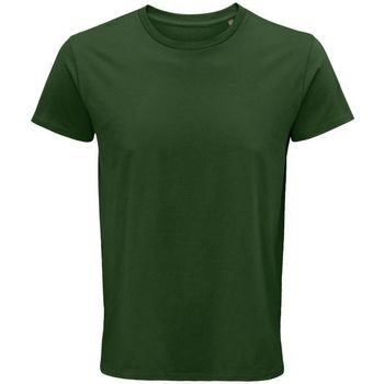 Textil Homem T-shirts e Pólos Sols CRUSADER MEN  camisetsa de hombre 100% algodón biológico Verde