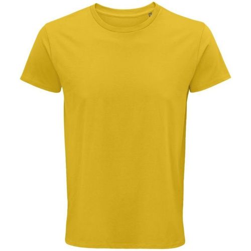 Textil Homem T-shirts e Pólos Sols CRUSADER MEN  camisetsa de hombre 100% algodón biológico Amarelo