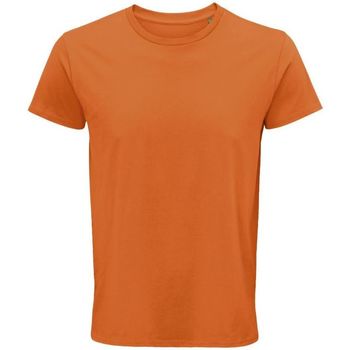 Textil Homem T-shirts e Pólos Sols CRUSADER MEN  camisetsa de hombre 100% algodón biológico Laranja