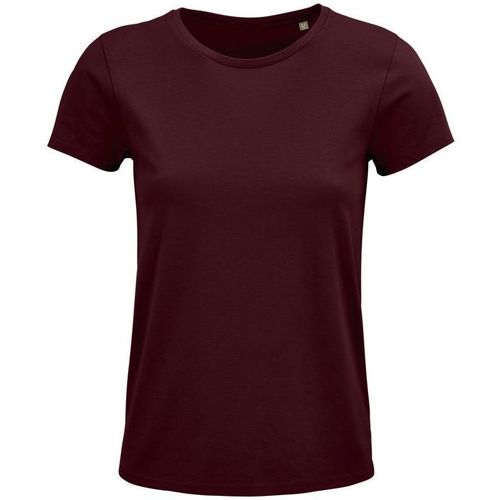 Textil Mulher T-shirts e Pólos Sols CRUSADER WOMEN camisetsa de mujer 100% algodón biológico Bordô