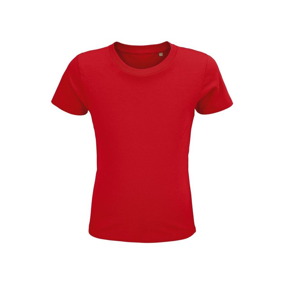 Textil Criança T-shirts e Pólos Sols CRUSADER KIDS Vermelho
