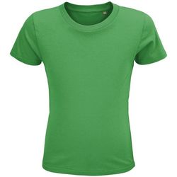 Textil Criança T-shirts e Pólos Sols CRUSADER KIDS camisetsa de niños  100% algodón biológico Verde