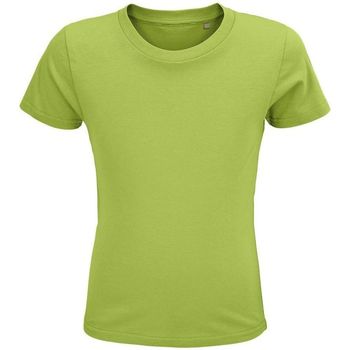 Textil Mulher T-shirts e Pólos Sols CRUSADER KIDS Verde