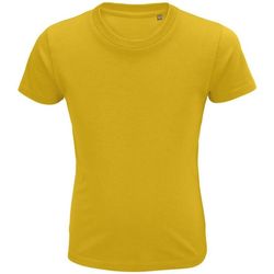 Textil Criança T-shirts e Pólos Sols CRUSADER KIDS camisetsa de niños  100% algodón biológico Amarelo