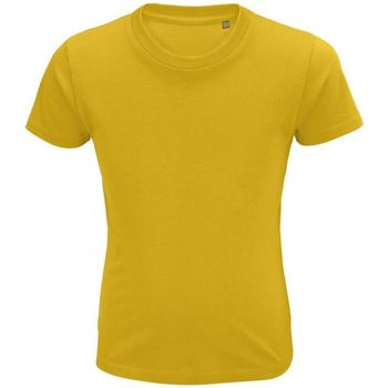 Textil Mulher T-Shirt mangas curtas Sols CRUSADER KIDS Amarelo