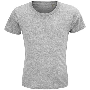 Textil Criança T-shirts e Pólos Sols CRUSADER KIDS camisetsa de niños  100% algodón biológico gris Cinza