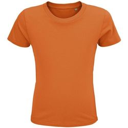 Textil Criança T-shirts e Pólos Sols CRUSADER KIDS camisetas niños 100% algodón biológico naranja Laranja