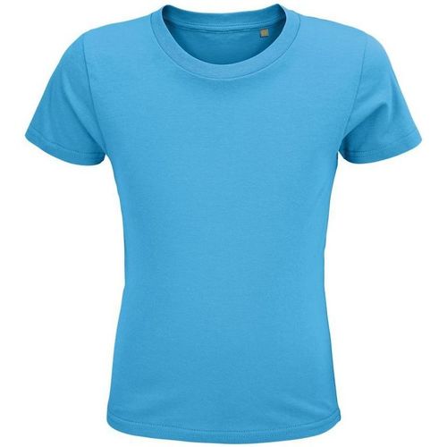Textil ASHnça T-shirts e Pólos Sols CRUSADER KIDS Azul