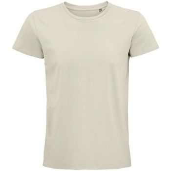Textil Homem T-shirts e Pólos Sols PIONNER MEN camiseta hombre 100% algodón biológico natural Branco