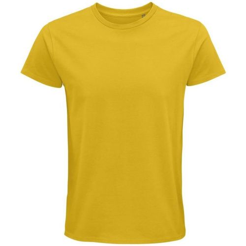 Textil Homem Pantufas / Chinelos Sols PIONNER MEN camiseta hombre 100% algodón biológico amarillo Amarelo