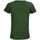 Textil Mulher T-shirts t-shirt e Pólos Sols PIONNER WOMEN Verde