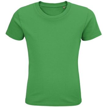 Textil Rapaz T-Shirt mangas curtas Sols PIONNER KIDS Verde