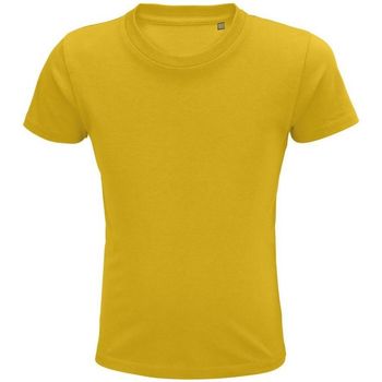 Textil Rapaz T-Shirt mangas curtas Sols PIONNER KIDS Amarelo