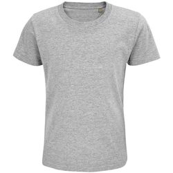 Textil Criança T-shirts e Pólos Sols PIONNER KIDS camiseta de niños  unisex 100% algodón biológico Cinza