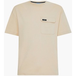 Textil Homem T-shirts e Pólos Calvin Klein Jeans K10K109790 Bege