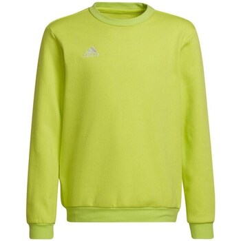 Textil Rapariga Sweats COT adidas Originals Entrada 22 Sweat Top Verde