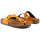 Sapatos Mulher Chinelos Scholl - greeny-f28057 Laranja
