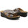 Sapatos Mulher Chinelos Scholl - aurora-f27846 Cinza