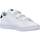 Sapatos Rapaz Sapatilhas adidas Originals GW6496 harlem nights adidas jersey black friday 2017 Branco