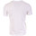 Textil Homem T-shirts e Pólos FFF  Branco