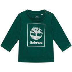 Textil Rapaz T-Shirt mangas curtas kolorze Timberland  Verde