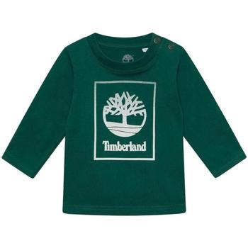 Textil Rapaz T-Shirt mangas curtas 6Prem Timberland  Verde