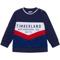 Timberland K-R Brand Linear Men's T-Shirt