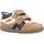 Sapatos Rapaz Sapatos & Richelieu Chicco 1064614C Castanho