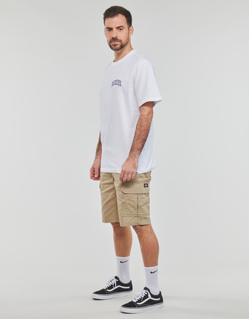 Dickies AITKIN CHEST TEE SS Branco