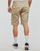 Textil Homem Shorts / Bermudas Dickies MILLERVILLE SHORT Bege