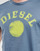Textil Homem T-Shirt mangas curtas Diesel T-DIEGOR-K56 Azul / Verde