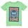 Textil Rapaz T-Shirt mangas curtas Name it NKMFAWA SS TOP Verde