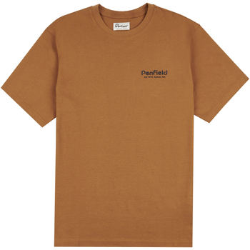 Textil Homem T-shirts e Pólos Penfield T-shirt  Arc Mountain Back Graphic Castanho