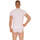 Textil Homem T-Shirt mangas curtas Cane BASTIA Branco