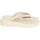 Sapatos Mulher Chinelos Ipanema 83175 Bege