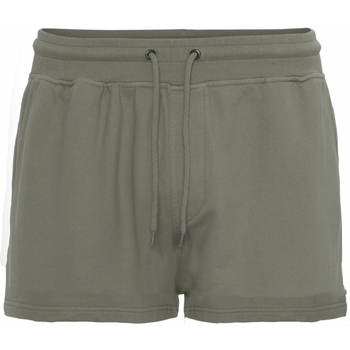 Textil Mulher Shorts / Bermudas Colorful Standard Short femme  Organic dusty olive Verde